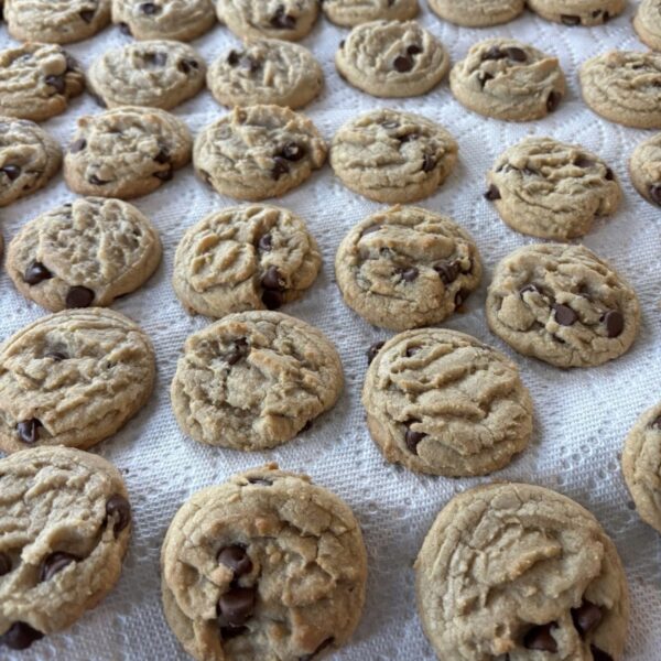 IMG_0420 Carlo Cookies