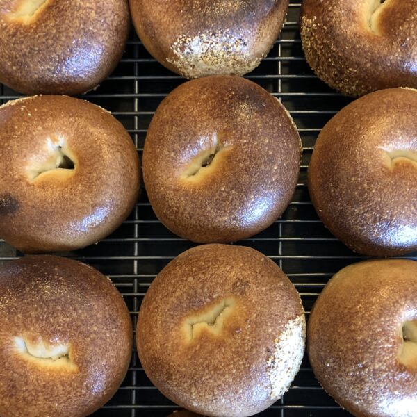 IMG_9874 Plain Bagel